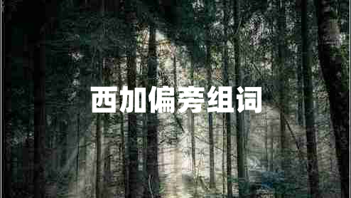 西加偏旁組詞 西加偏旁組詞