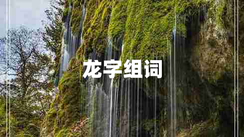 龍字組詞