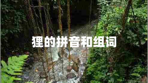 貍的拼音和組詞