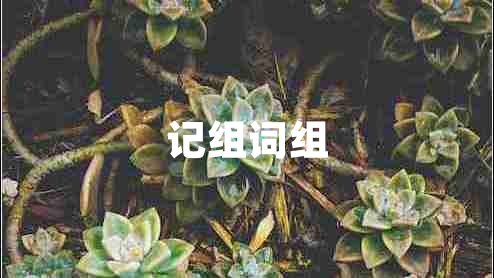 記組詞組 記組詞組