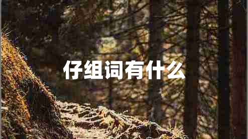 仔組詞有什么
