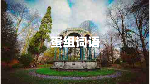 蛋組詞語 蛋組詞語