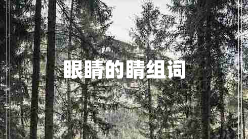 眼睛的睛組詞 眼睛的睛組詞