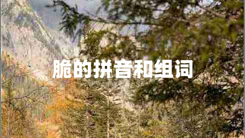 脆的拼音和組詞