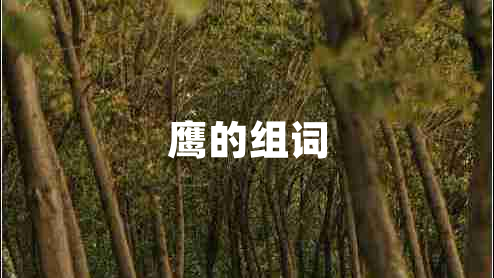 鷹的組詞 鷹的組詞