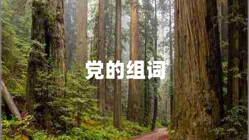 黨的組詞 黨的組詞