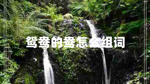 鴛鴦的鴦怎么組詞