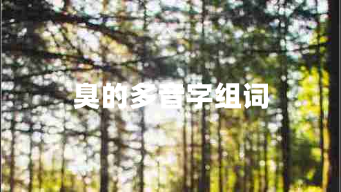 臭的多音字組詞