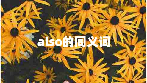 also的同義詞