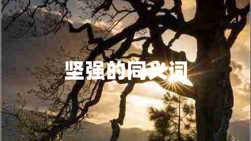 堅強(qiáng)的同義詞 堅強(qiáng)的同義詞