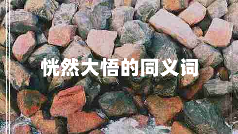 恍然大悟的同義詞