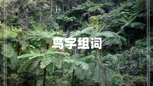鳥字組詞 鳥字組詞