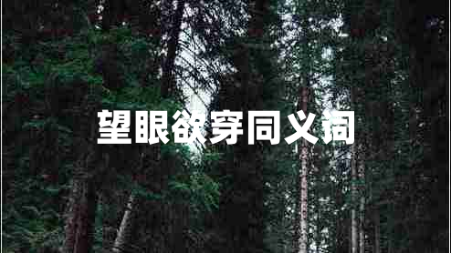 望眼欲穿同義詞 望眼欲穿同義詞