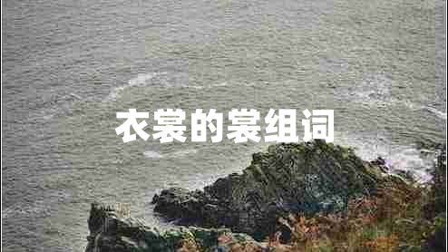 衣裳的裳組詞