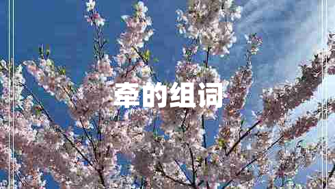 牽的組詞 牽的組詞