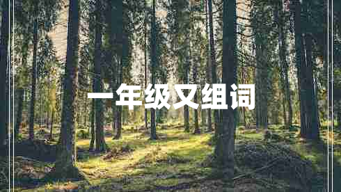 一年級(jí)又組詞 一年級(jí)又組詞