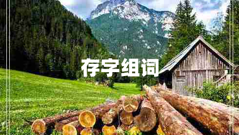 存字組詞 存字組詞