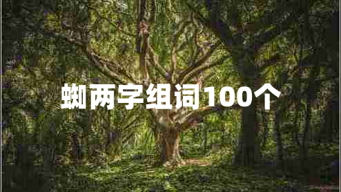蜘兩字組詞100個