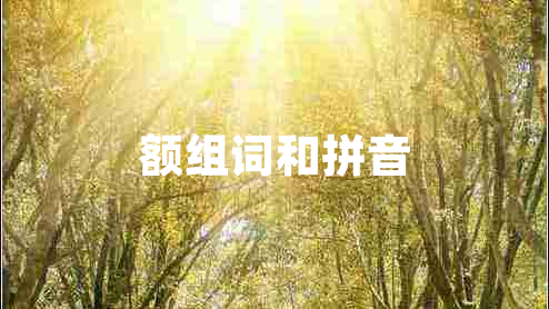 額組詞和拼音
