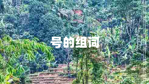 號(hào)的組詞 號(hào)的組詞