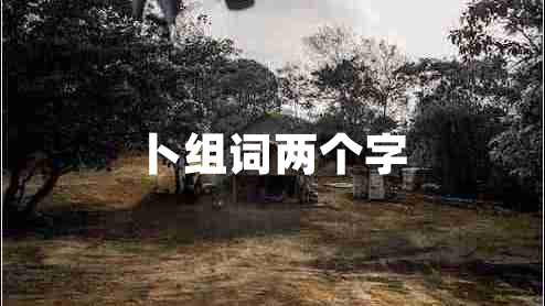 卜組詞兩個字