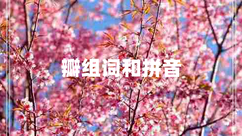 瓣組詞和拼音