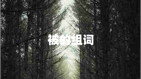 被的組詞