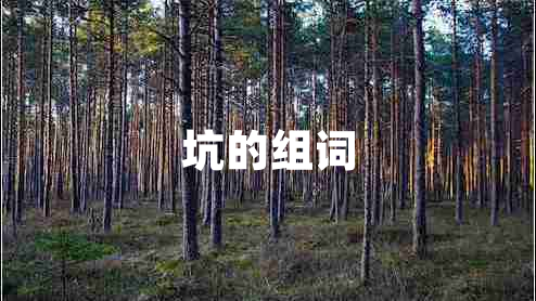 坑的組詞 坑的組詞