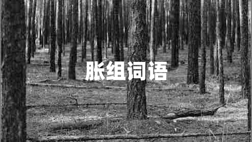 脹組詞語 脹組詞語