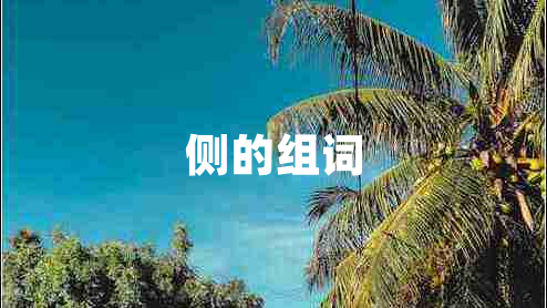 側(cè)的組詞