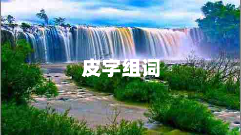 皮字組詞 皮字組詞