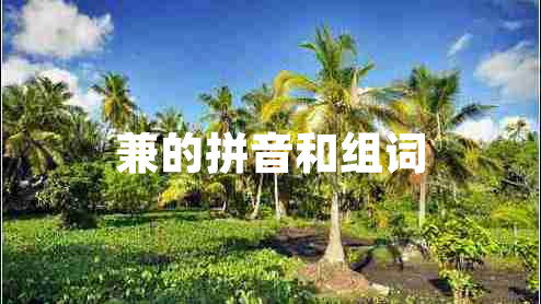 兼的拼音和組詞