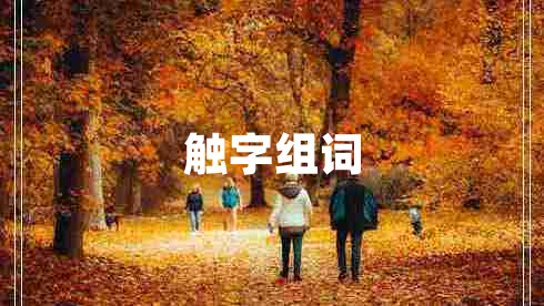 觸字組詞 觸字組詞
