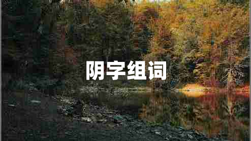 陰字組詞