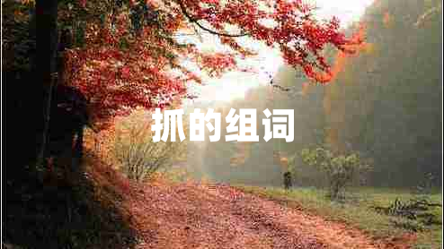 抓的組詞 抓的組詞
