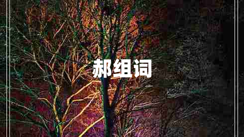 郝組詞 郝組詞