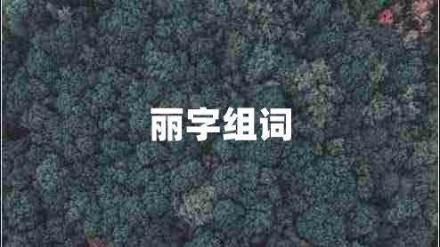 麗字組詞