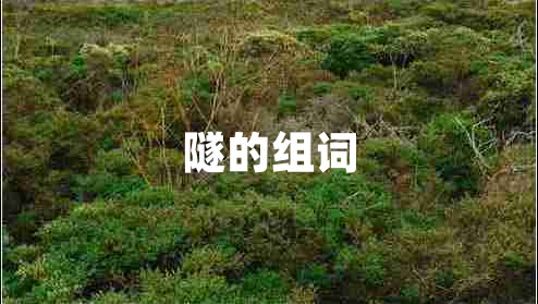 隧的組詞 隧的組詞