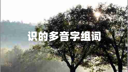 識(shí)的多音字組詞