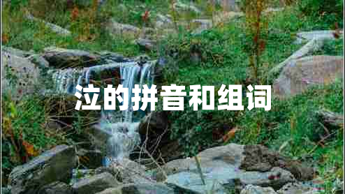 泣的拼音和組詞 泣的拼音和組詞