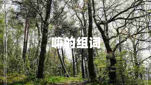 嘛的組詞 嘛的組詞