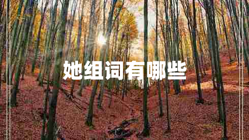 她組詞有哪些