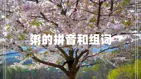 粥的拼音和組詞