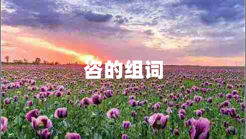 咨的組詞 咨的組詞