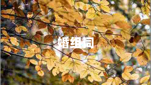 婚組詞