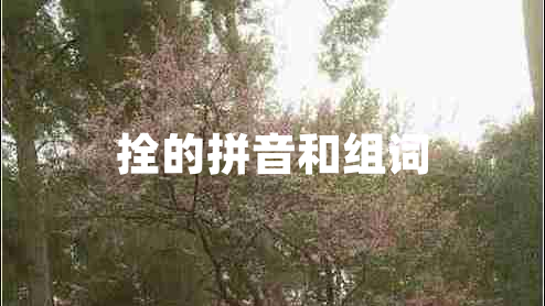 拴的拼音和組詞