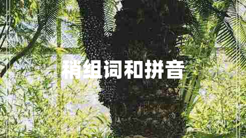 稍組詞和拼音