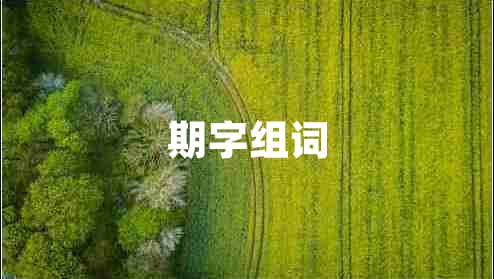期字組詞 期字組詞