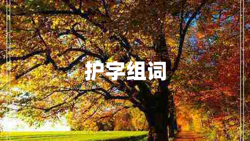 護(hù)字組詞 護(hù)字組詞