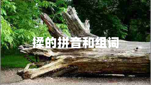 揉的拼音和組詞 揉的拼音和組詞